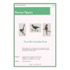 Mini Australian Bird chart - magpie lorikeet and wren